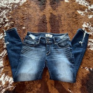 BKE Stella Distressed Jeans